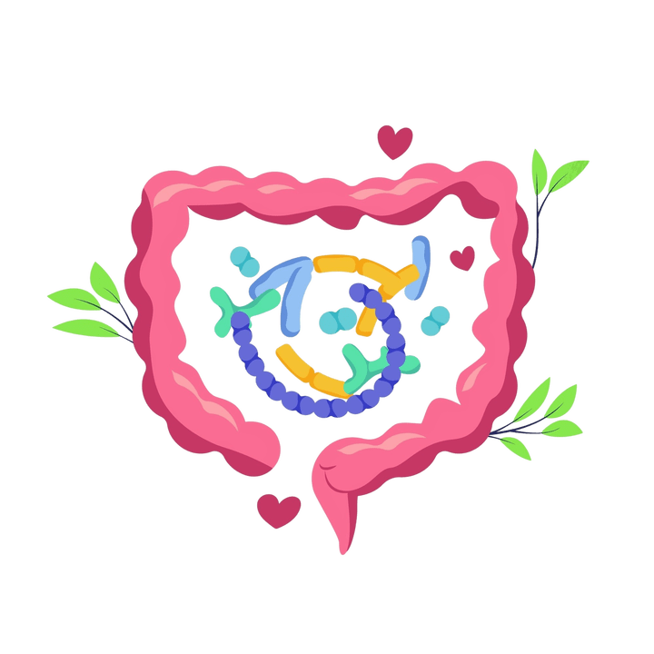 Здравословно храносмилане и без паразити